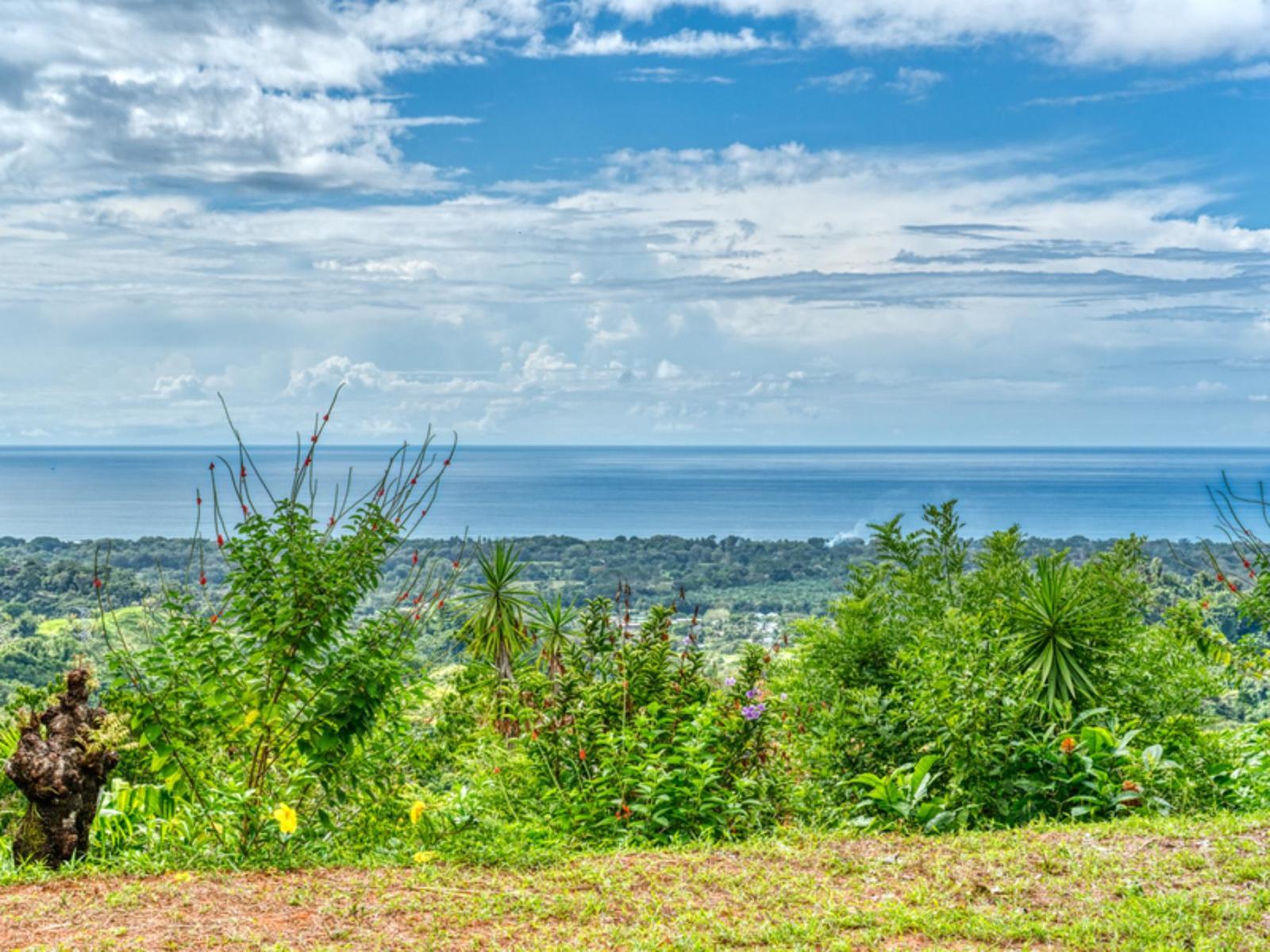 7.87 Acre Land Plot for Sale in Matapalo, Puntarenas, Costa Rica — photo 2