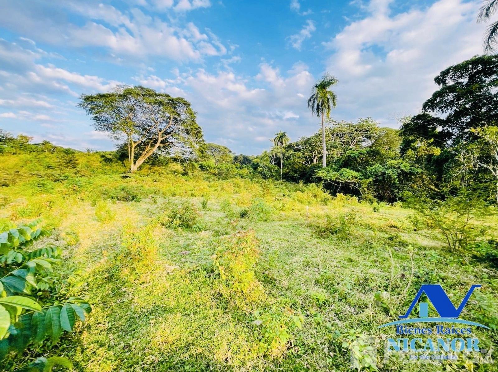 Cattle ranch of 1,150 tareas for sale in Guananico pop. — photo 1