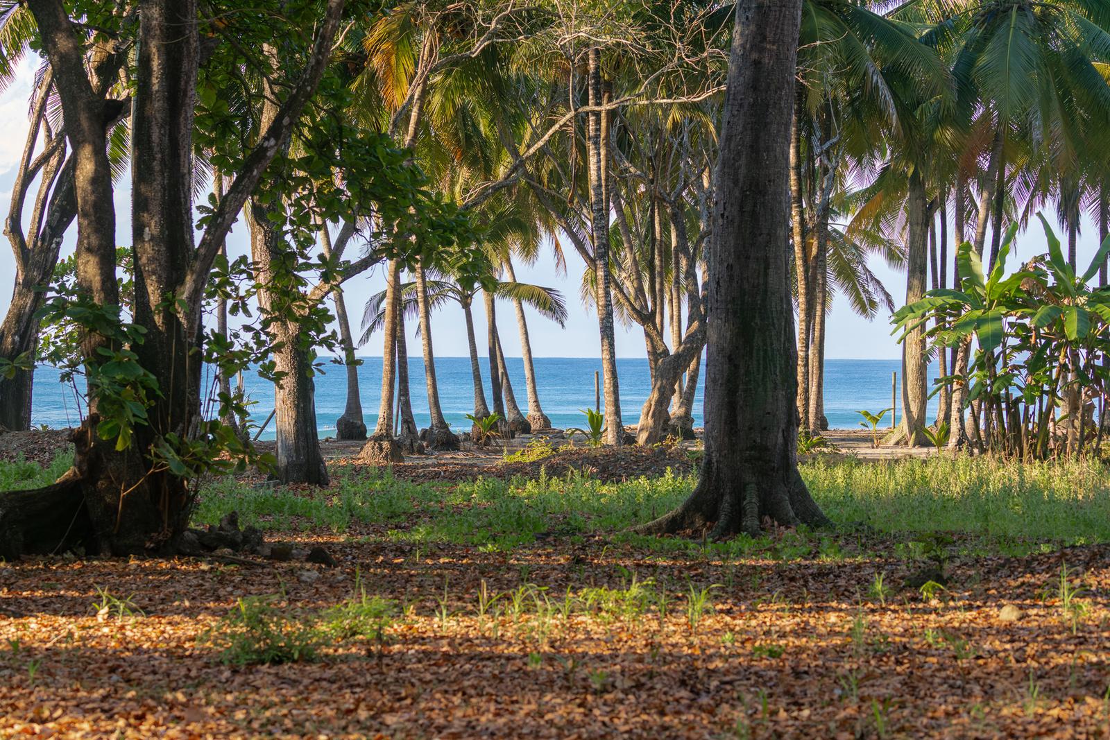 2.64 Acres Beachfront Land for Sale in Santa Teresa, Costa Rica — photo 5