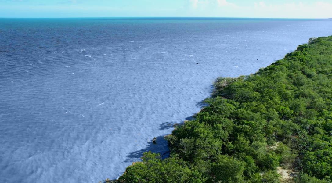 4000 Acres of Brilliant Waterfront Farmland North of Belize City — photo 3