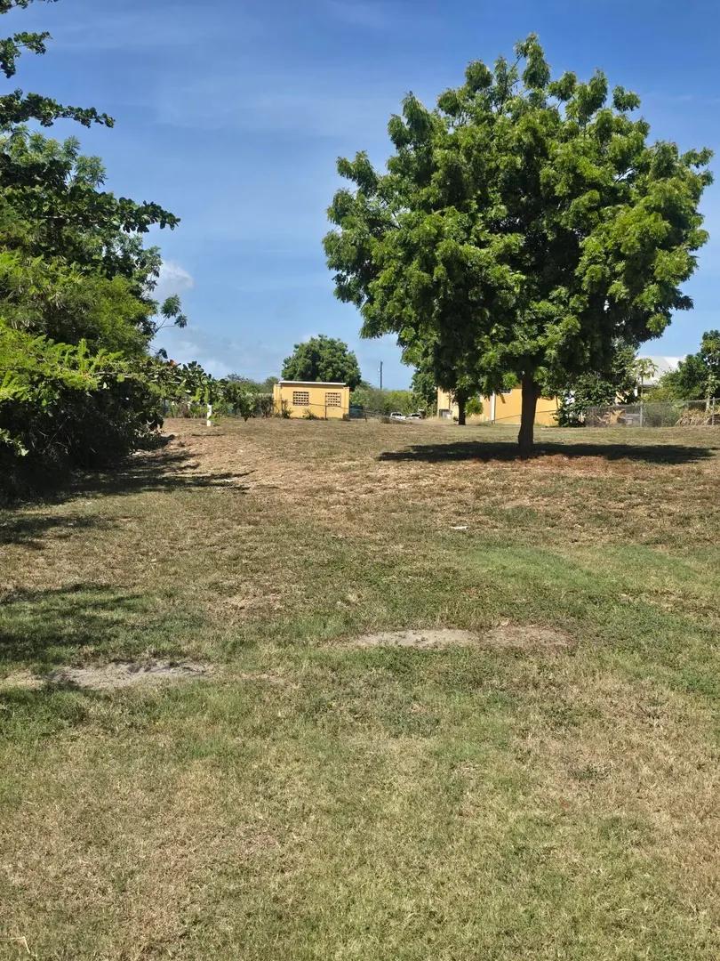 0.5 Acre Homesite Lot in Frederiksted — photo 3