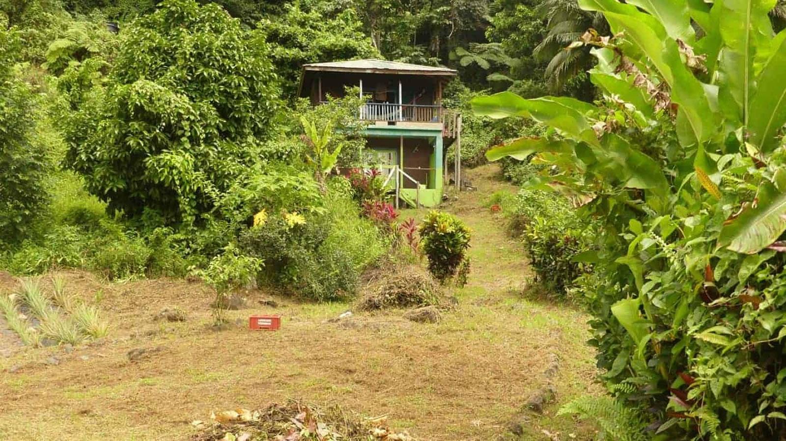 4.77 Acre Off-Grid Eco-Lodge for Sale, Rosalie, Dominica — photo 1
