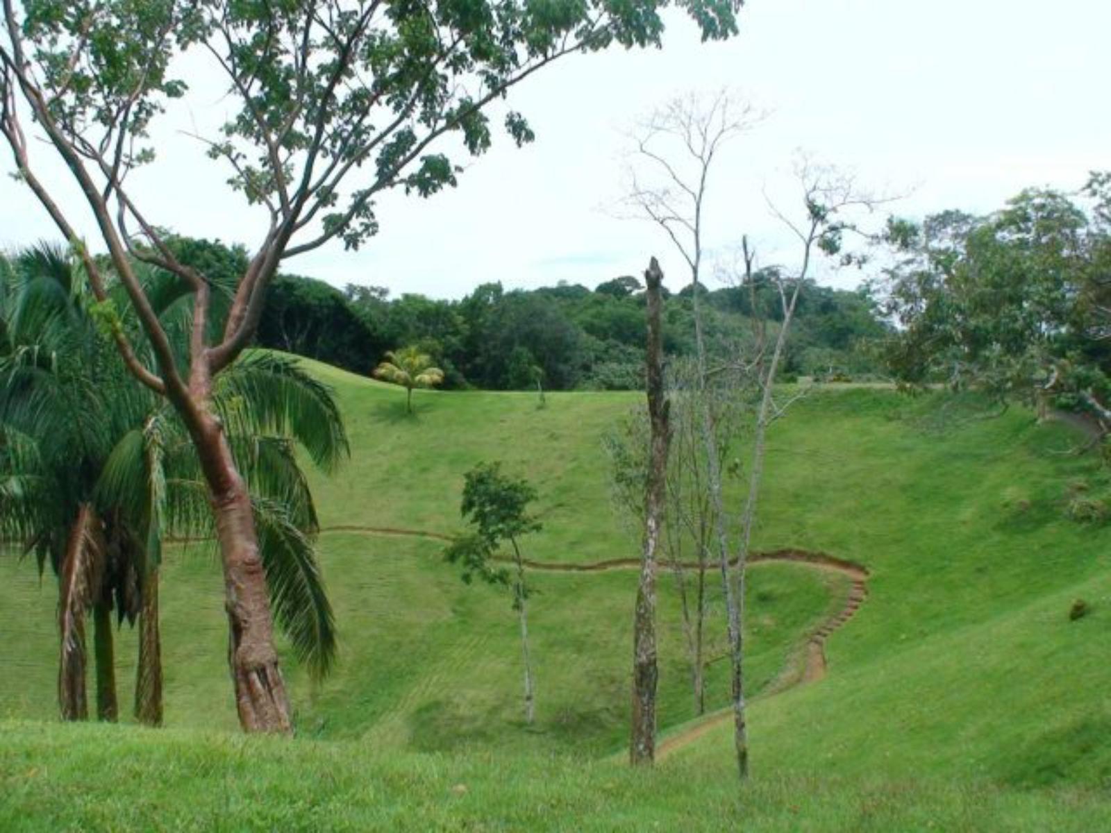 15 Acres of Ocean-View Land for Sale in Manuel Antonio — photo 3