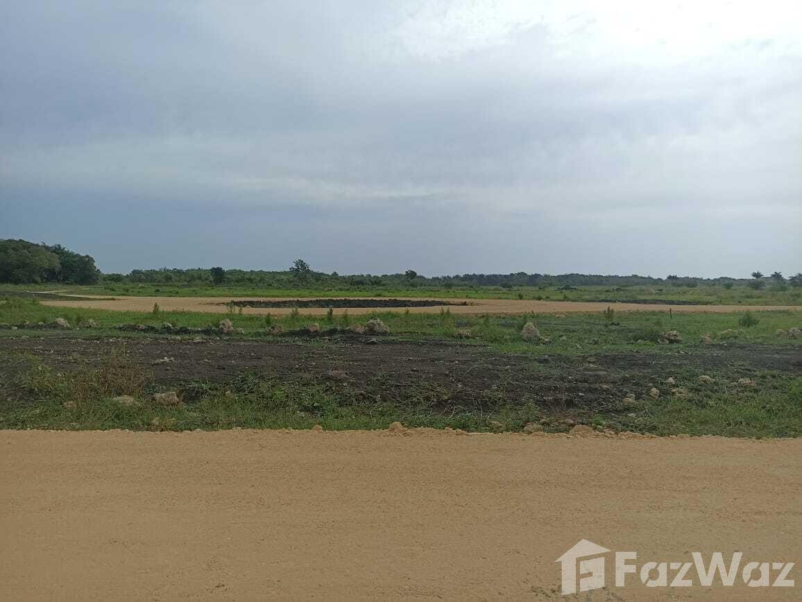 Land for sale in San Felipe De Puerto Plata, Dominican — photo 4