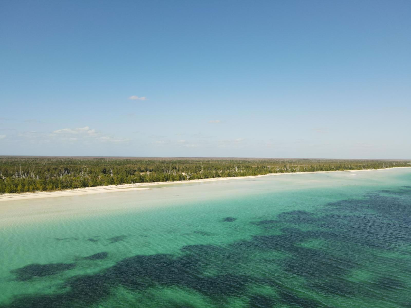 113 Acres of Beachfront Land for Sale, East End, Grand Bahama — photo 2