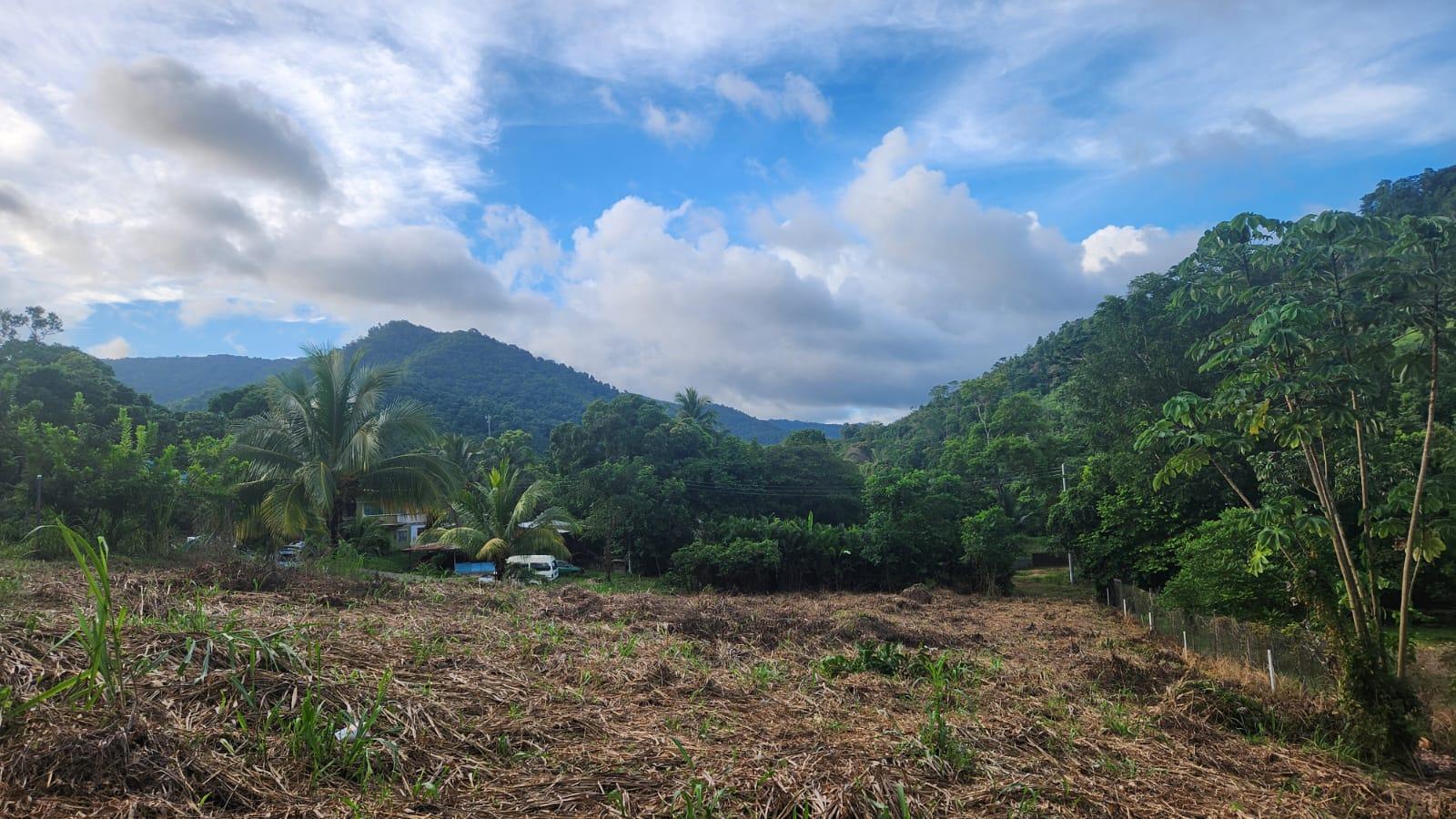 Land for sale Lopinot 4 lots — photo 1