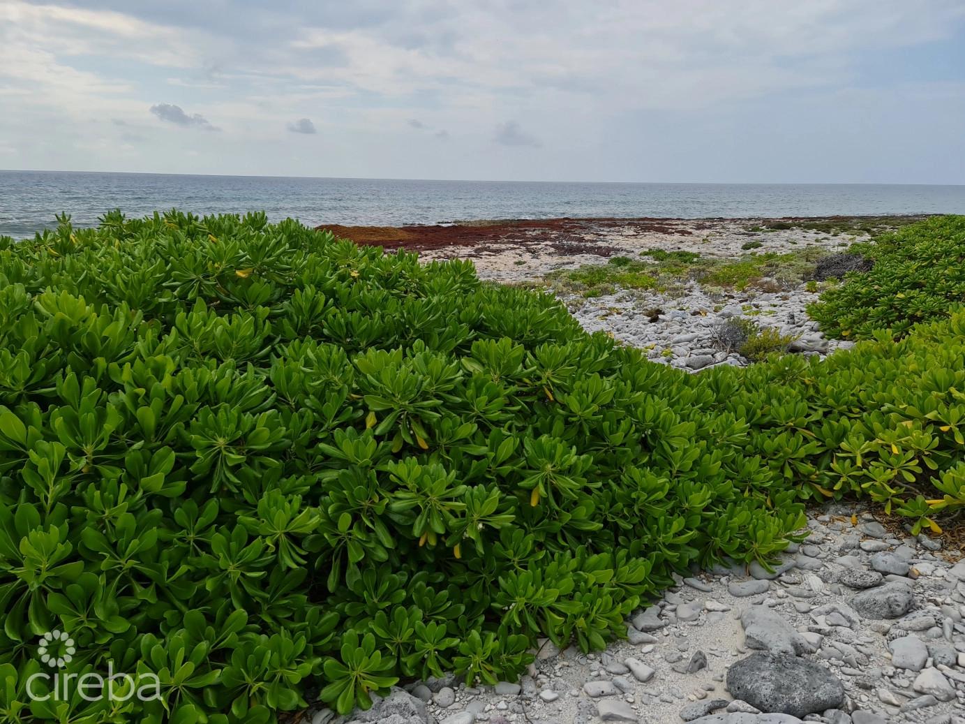 Oceanfront Vacant Land in Cayman Islands — photo 4