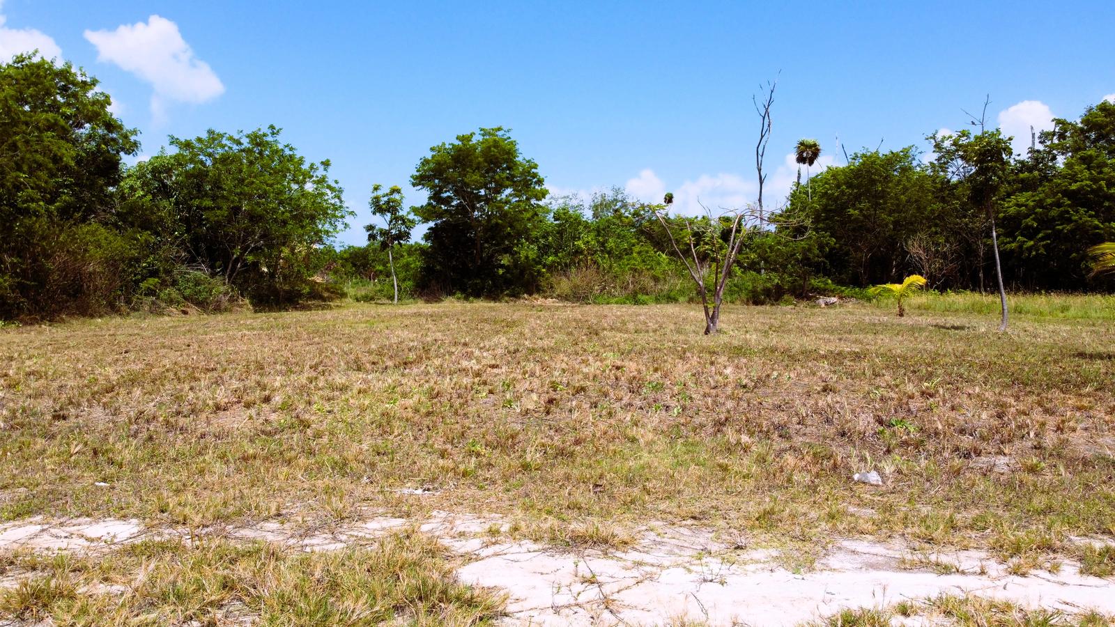 Dream Lot in Consejo, Corozal — photo 4