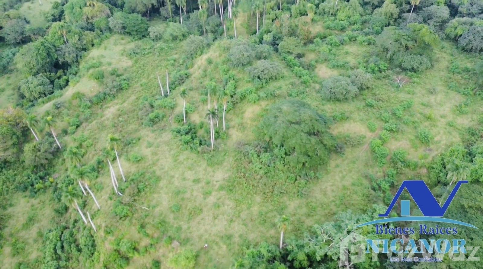 1,150 acre farm for sale in Guananico, Puerto Plata — photo 2