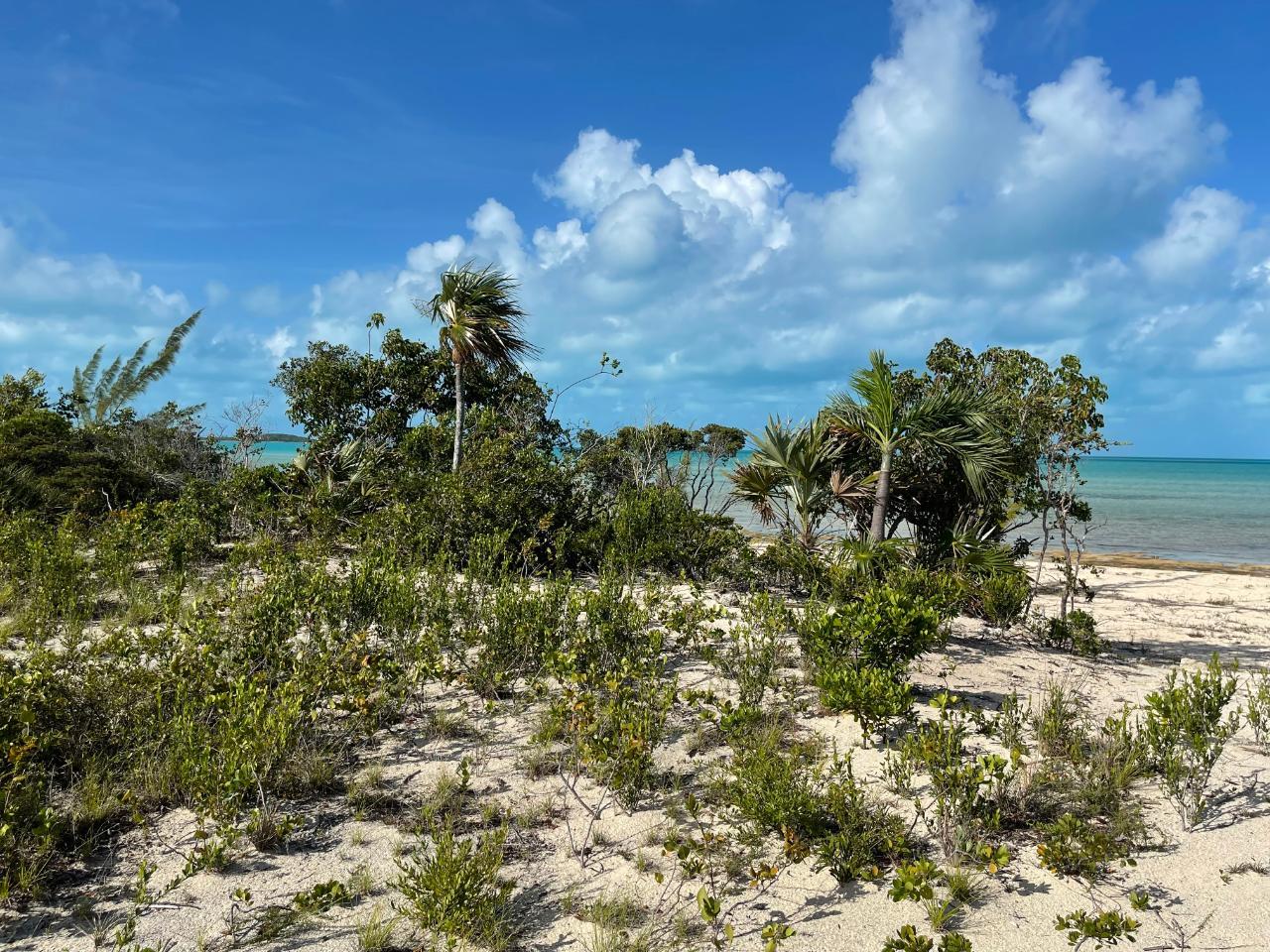 BEACHFRONT WEMYSS LI in Long Island, The Bahamas — photo 4