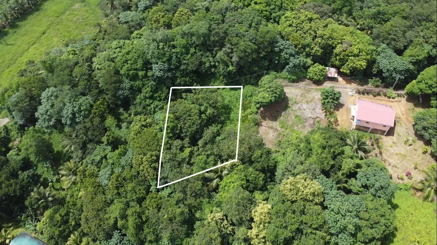 Charming Residential Land Opportunity in Bexon, Castries — photo 1