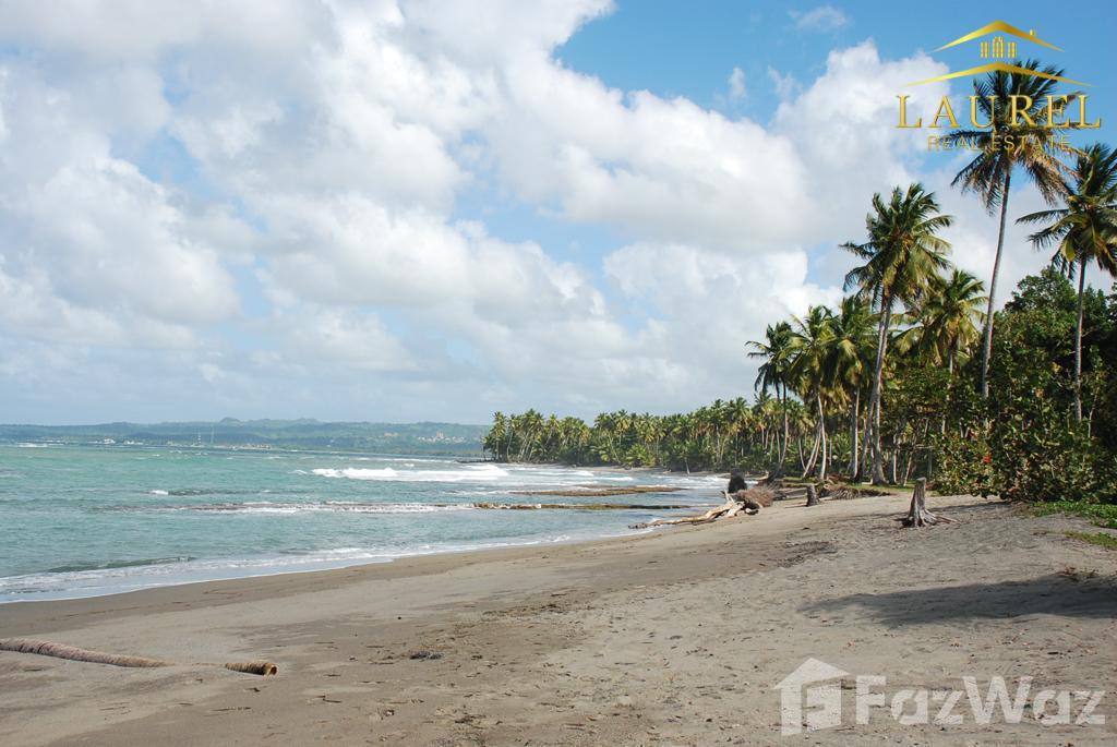 Land for sale on the beach at 55 meters in Gaspar Hernández RD — photo 1