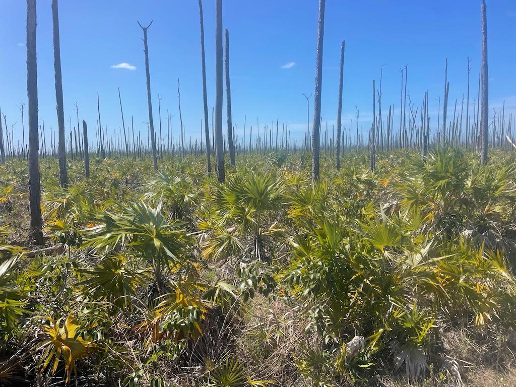 Vacant Land for sale - Lot 9, Block 2, Leicester County, Bahamas — photo 2