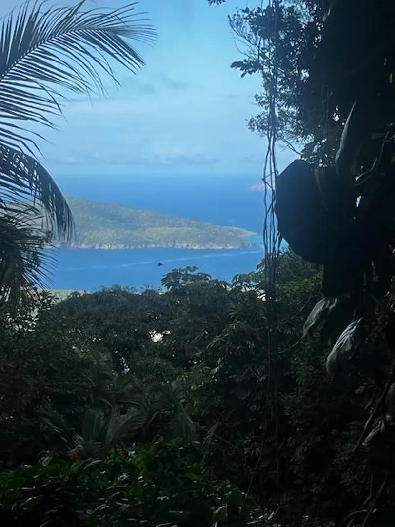 0.36 Acre Homesite Lot in Great Northside, US Virgin Islands — photo 3