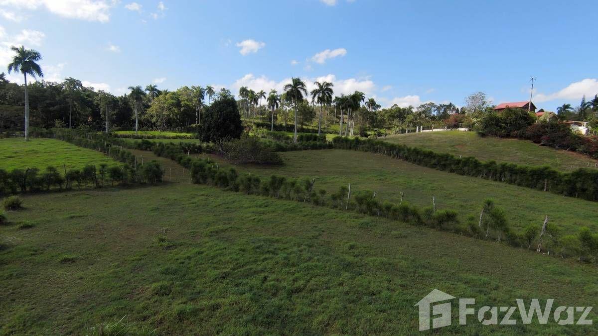Hobby Or Organic Farm For Sale in Sosua, Puerto Plata — photo 5