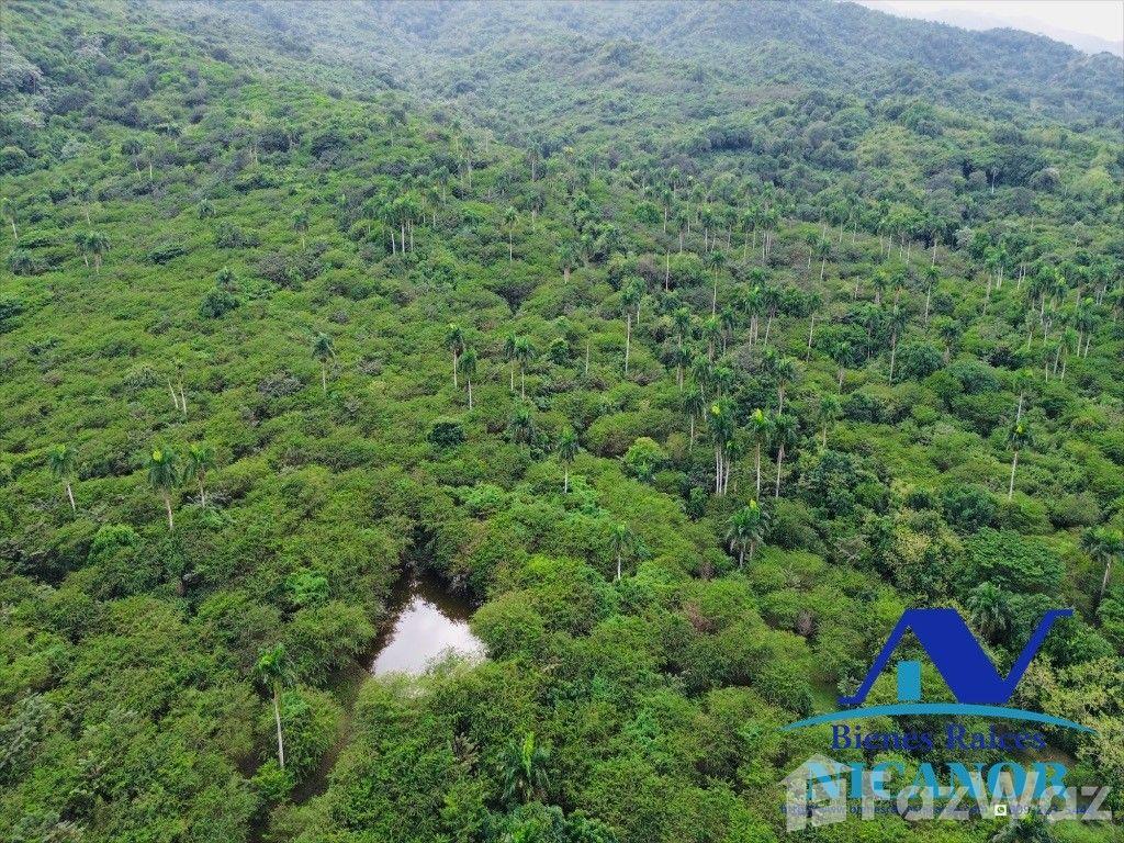 5,200 acre farm for sale in Imbert, Puerto Plata, Dominican Republic — photo 2