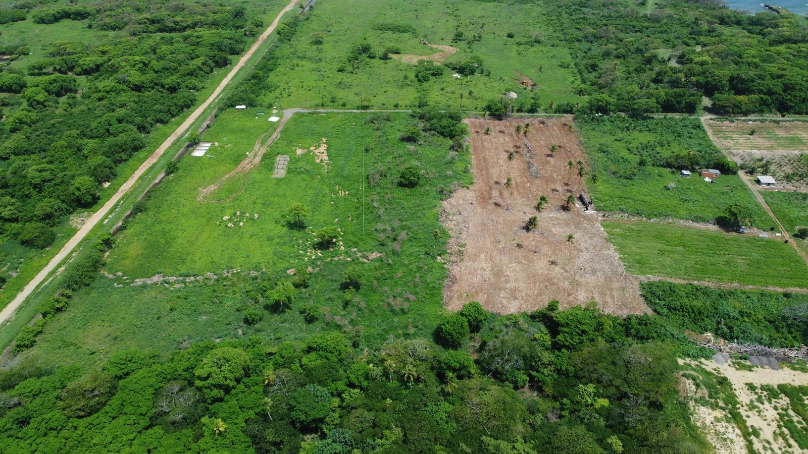 5 Acres of Prime Tobago Land For Sale Near to Cove Reef — photo 4