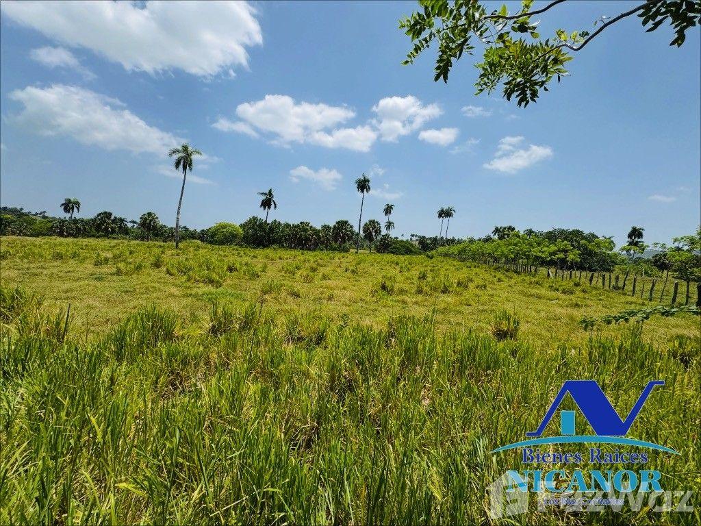 Farm for sale in Imbert, Puerto Plata — photo 5