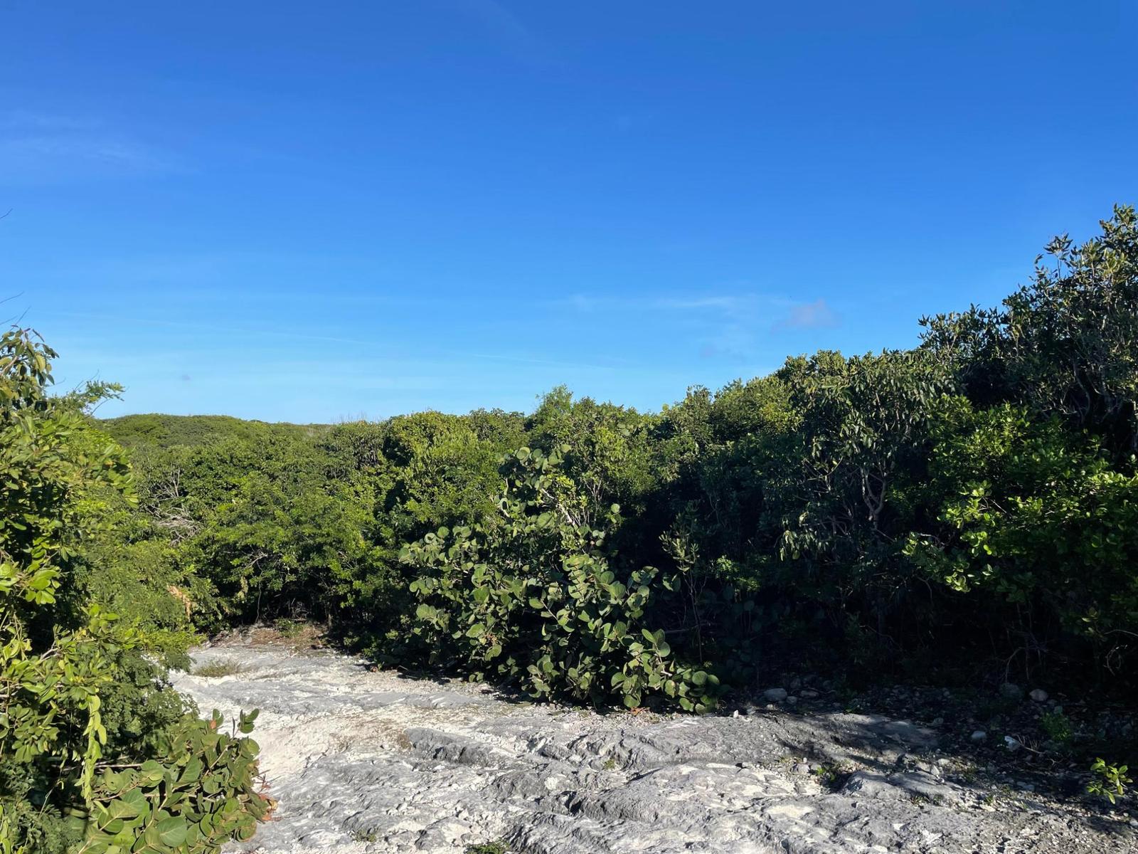 ELEUTHERA ISLAND SHORES — photo 2