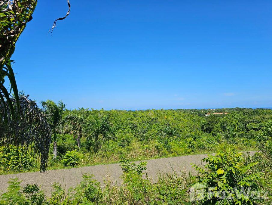 PANORAMA VILLAGE Amazing Ocean View LOT in Sosua, Puerto Plata, Dominican Republic — photo 5