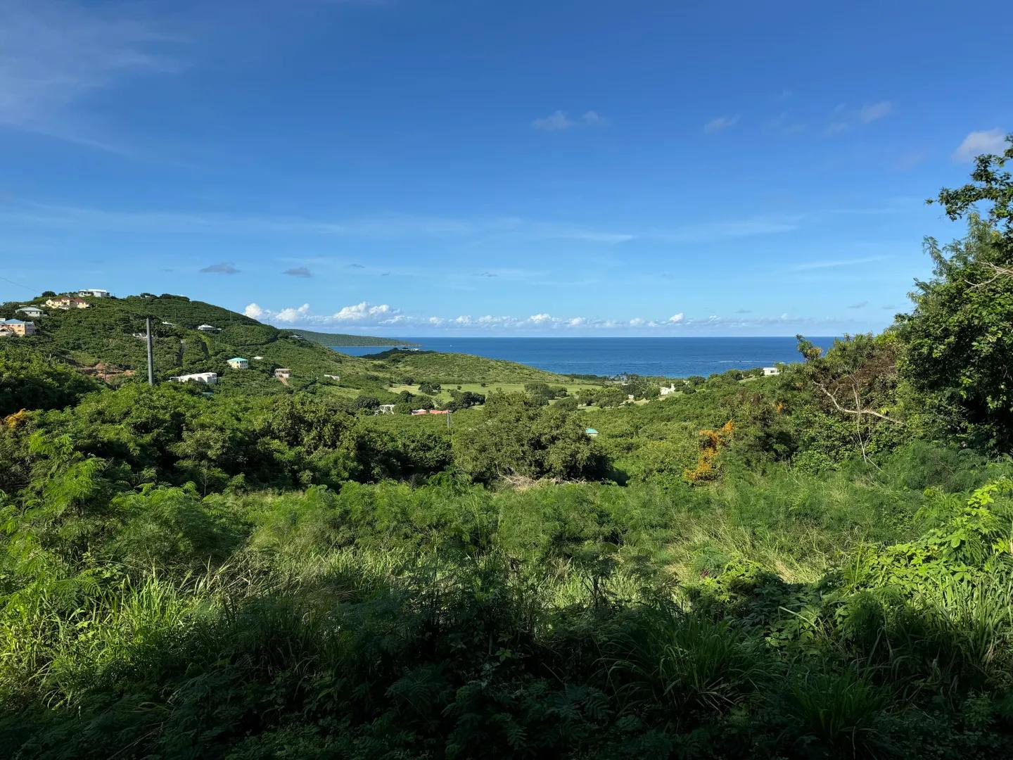 0.32 Acre Homesite Lot in St. Croix, US Virgin Islands — photo 4