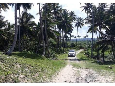 4700.04 SqM Land Plot in Gaspar Hernandez — photo 5