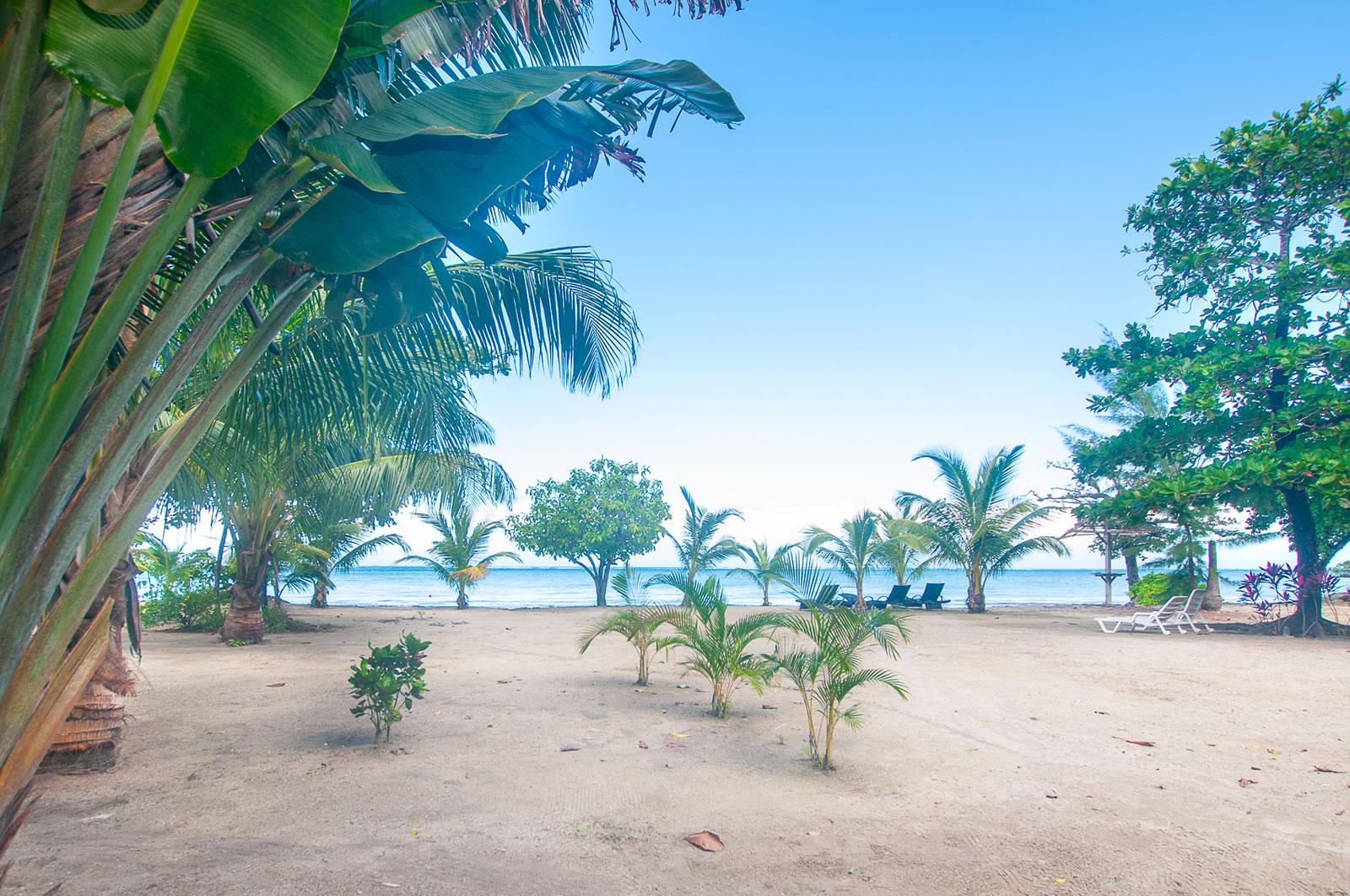 4 Bedroom Beachfront Home for Sale, Palmetto Bay, Roatan — photo 5