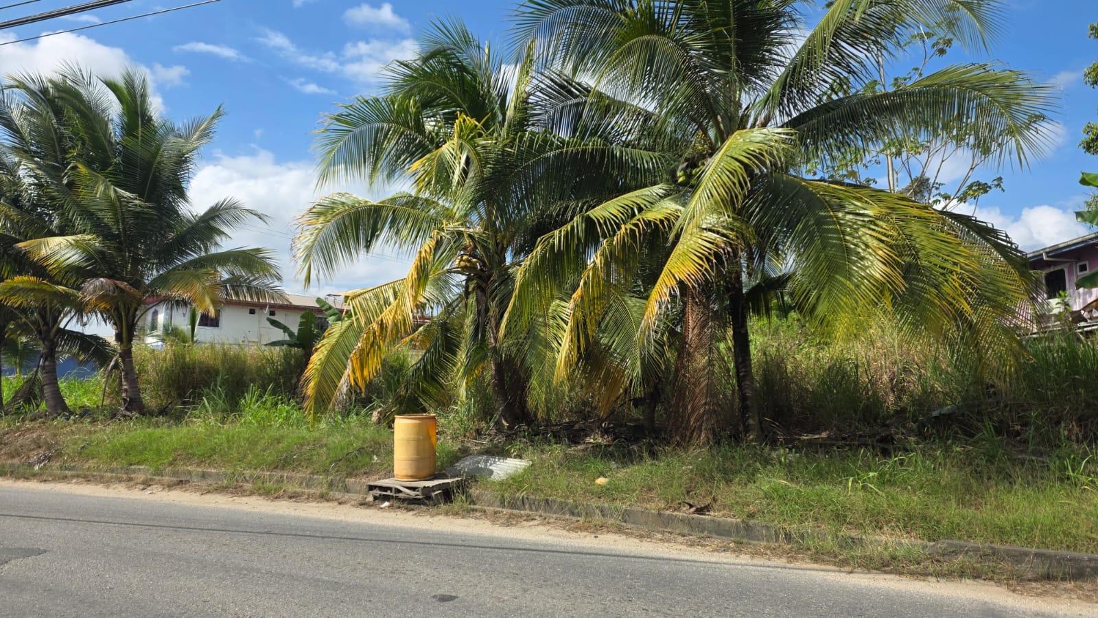 Residential land Arima — photo 3