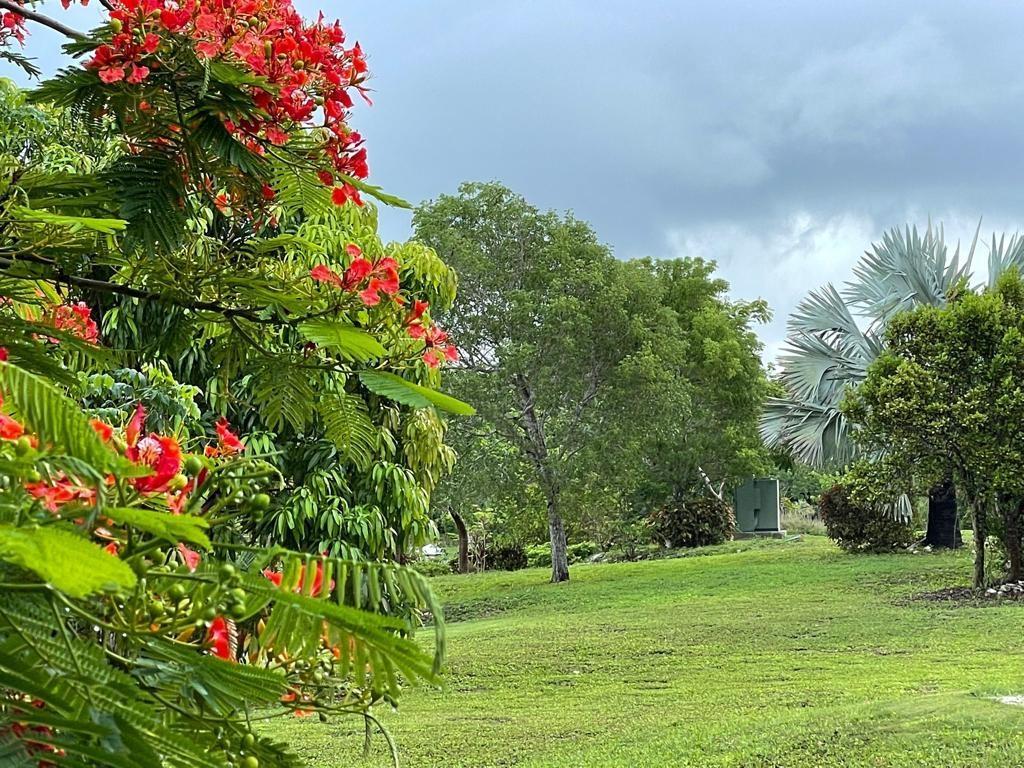 LYFORD HILLS Development Lot in Nassau, The Bahamas — photo 1