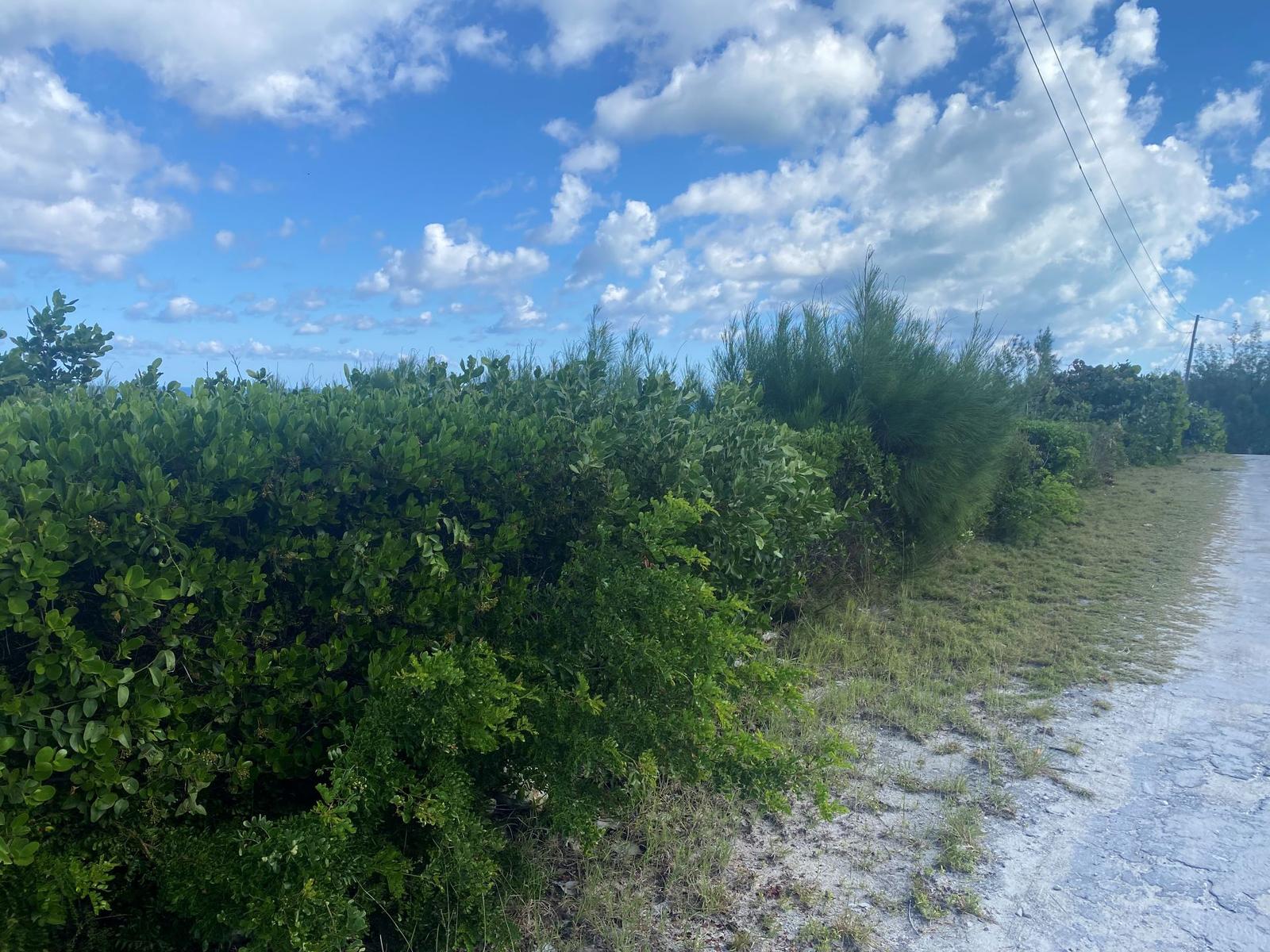 Vacant Land for sale - Lot 15, Block 20, Section B - MLS 65101 — photo 5