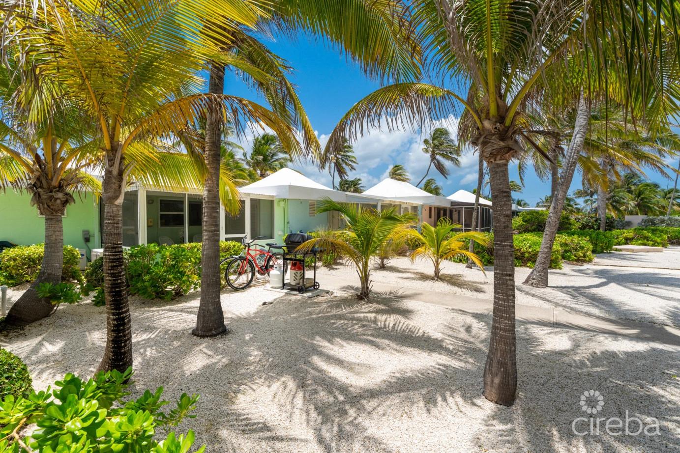 Cayman Kai Sea Lodge #13 Beachfront Condo With Impressive Rental History — photo 3