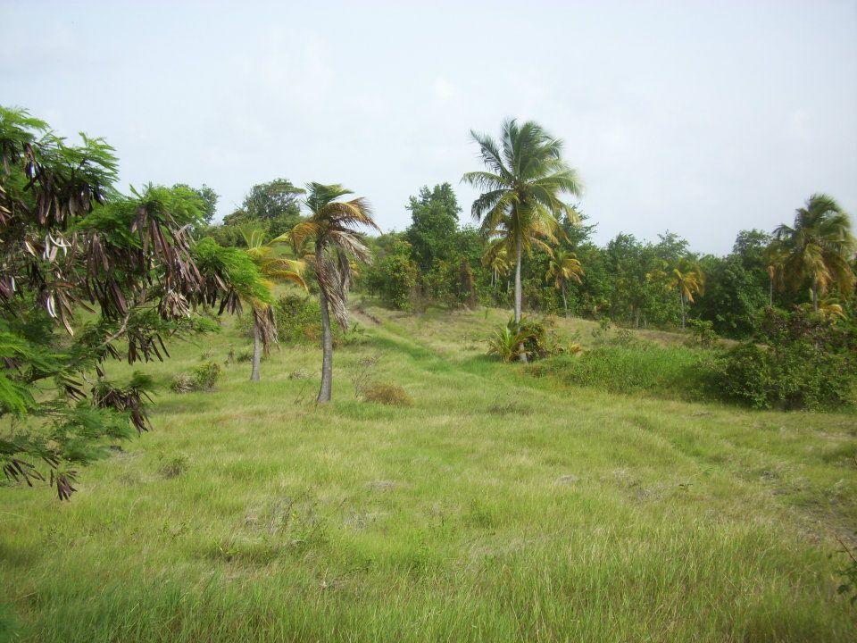 7 Acres Beachfront Land for Sale in Savannes Bay, St Lucia — photo 2