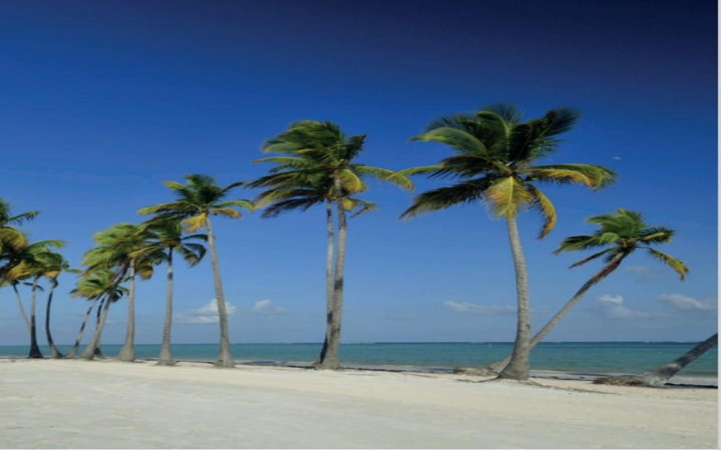 Id-2650 Galia Residences Cap Cana One-bedroom Condo Available — photo 5