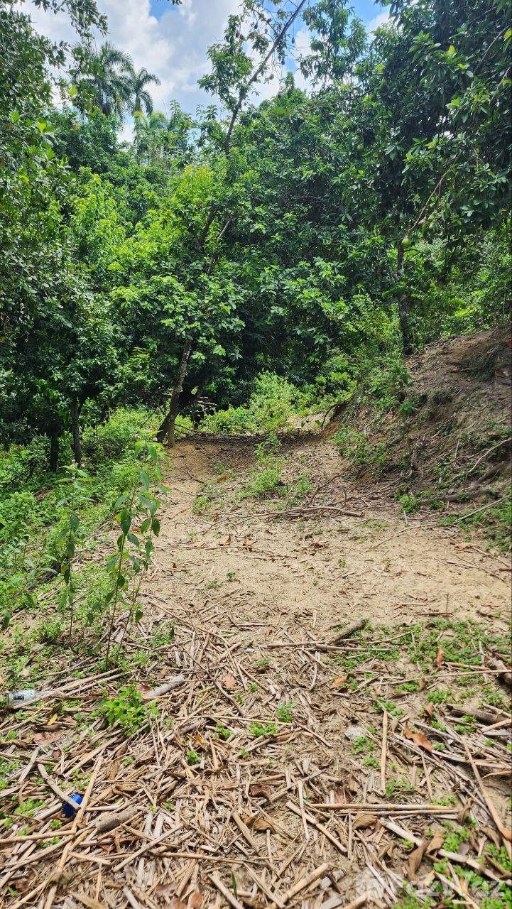 Dream Estate for Sale – Imbert, Puerto Plata — photo 4