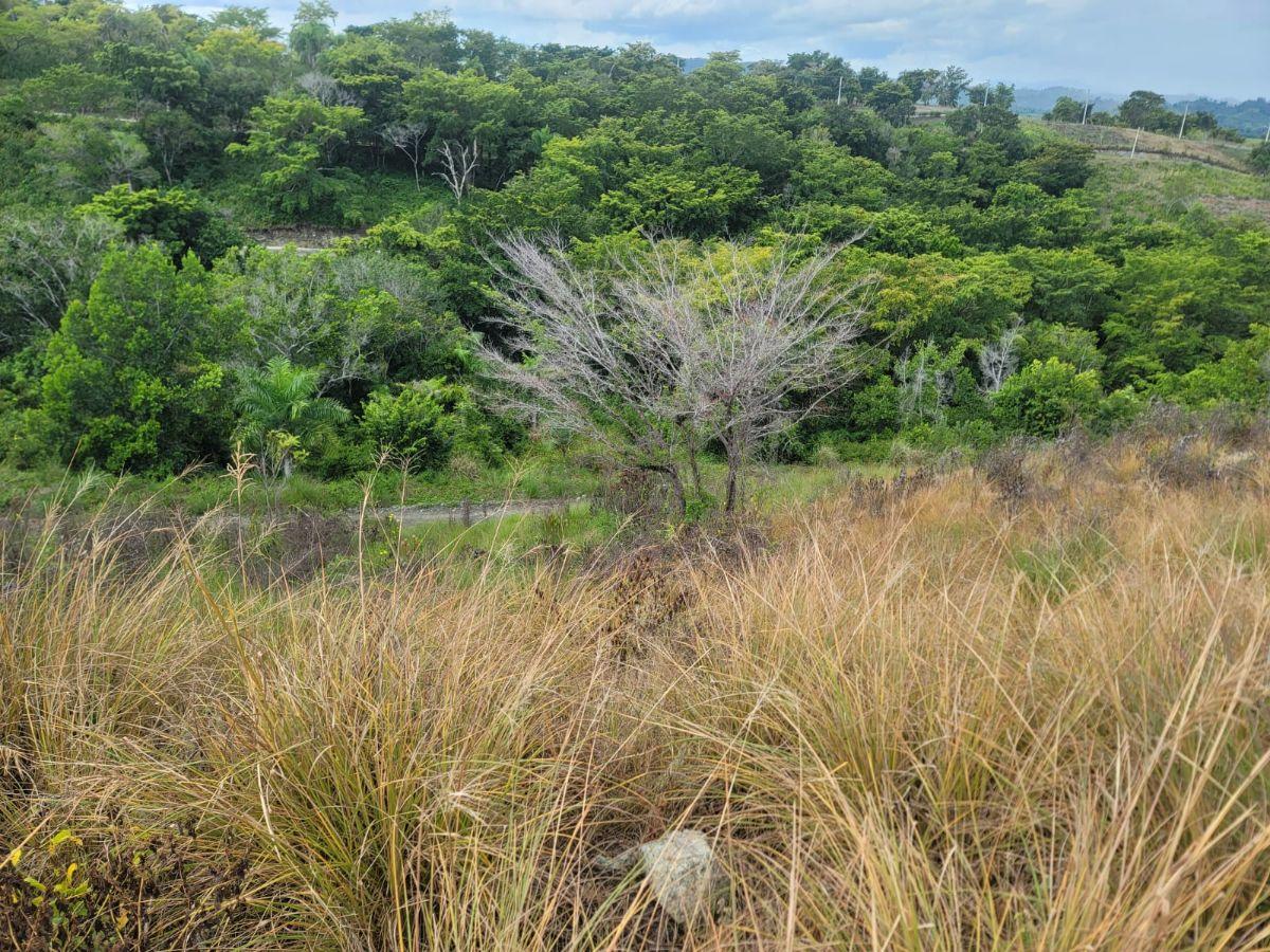 Terreno en venta con vista al mar en Gaspar Hernández — photo 3
