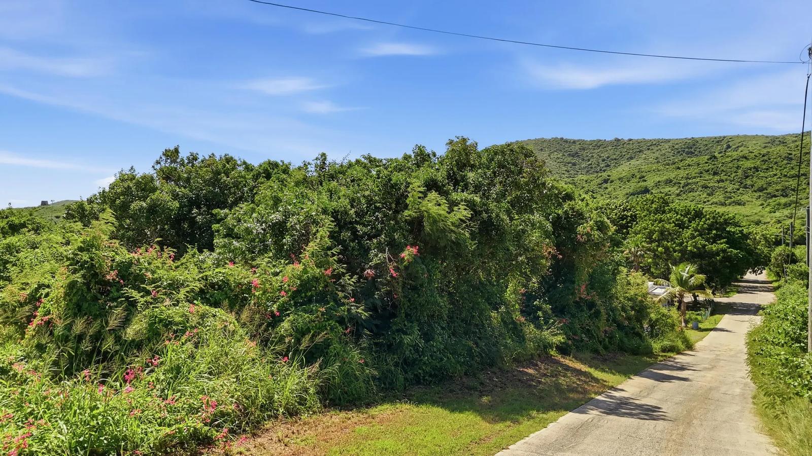 2.57 Acre Lot, Sally's Fancy Ea, St. Croix — photo 4