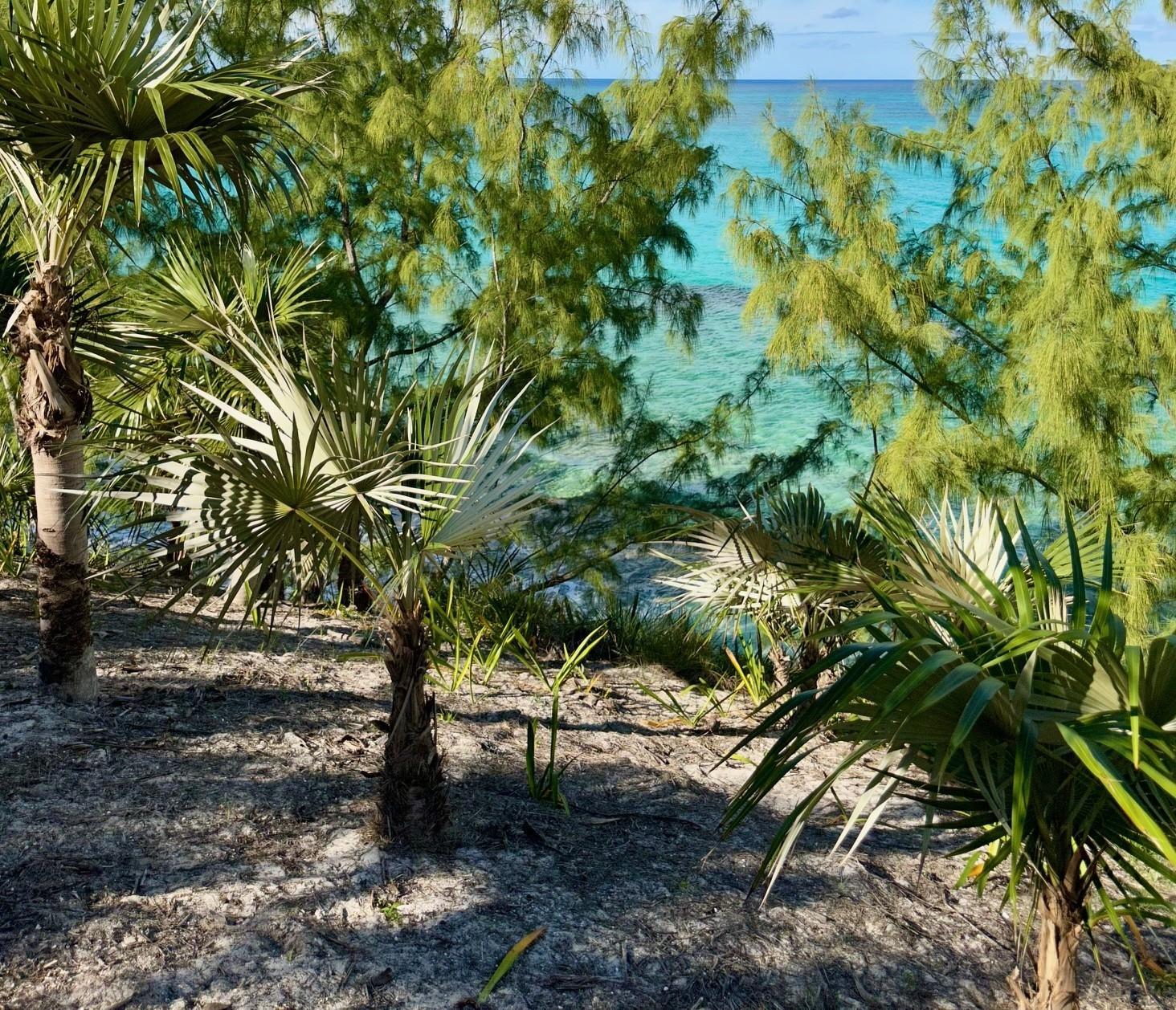 Peppercorn Estate on Banks Road, Eleuthera, The Bahamas — photo 4