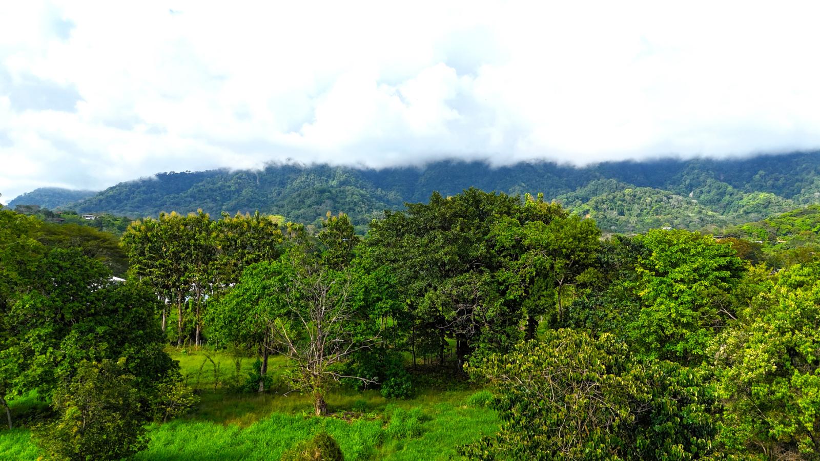 3 Acres of Mountain-View Land for Sale, Ojochal, Puntarenas, Costa Rica — photo 4