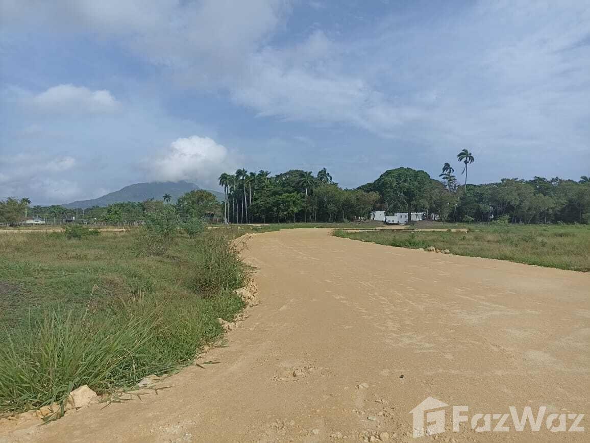 Land for sale in San Felipe De Puerto Plata, Dominican — photo 2