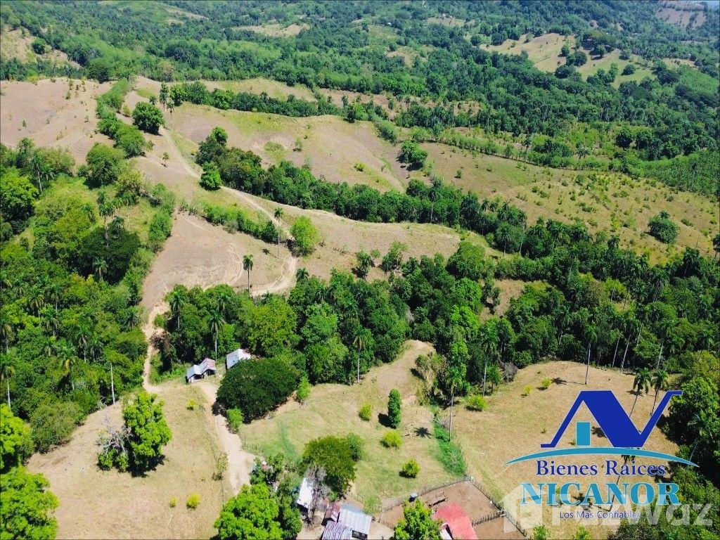 846 Acre Farm for Sale in Guananico, Puerto Plata — photo 3