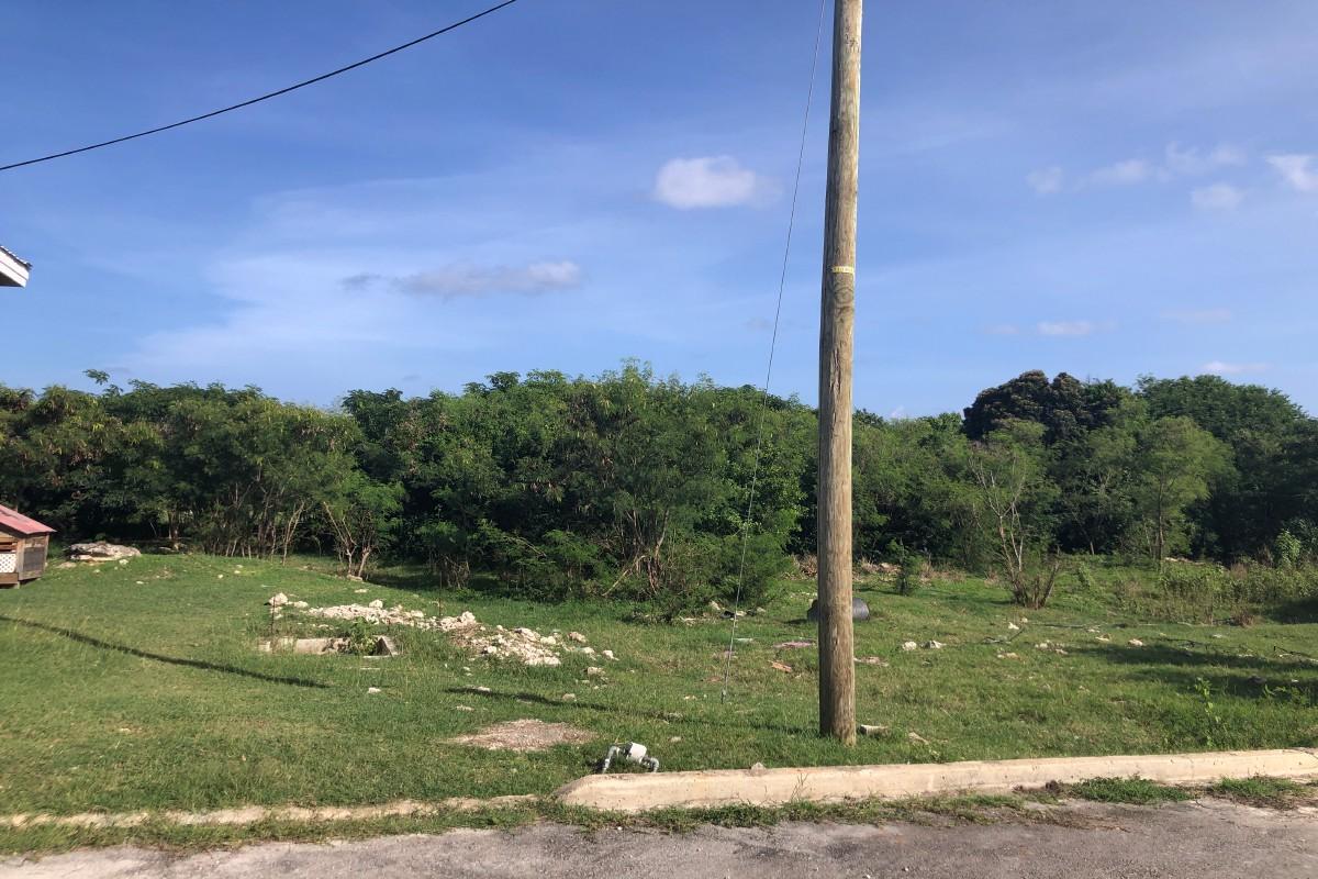 Two residential lots for sale in St Philip, Barbados — photo 4