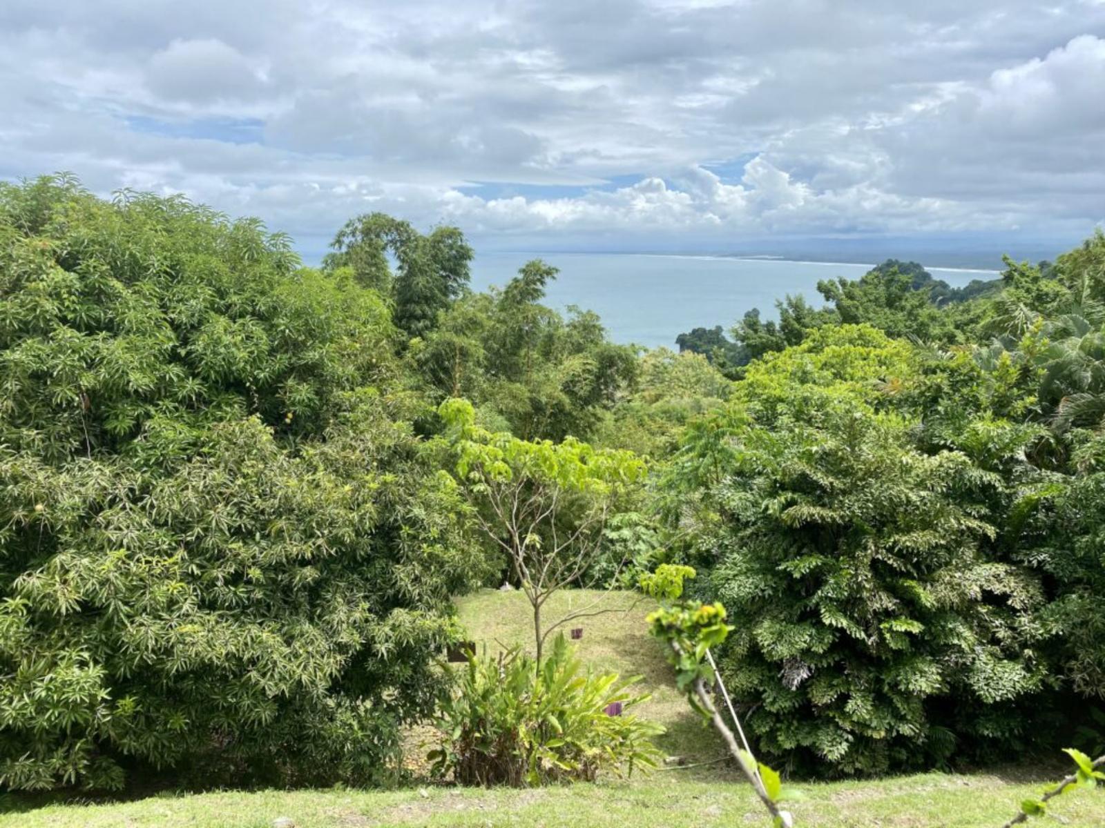 15 Acres of Ocean-View Land for Sale in Manuel Antonio — photo 4