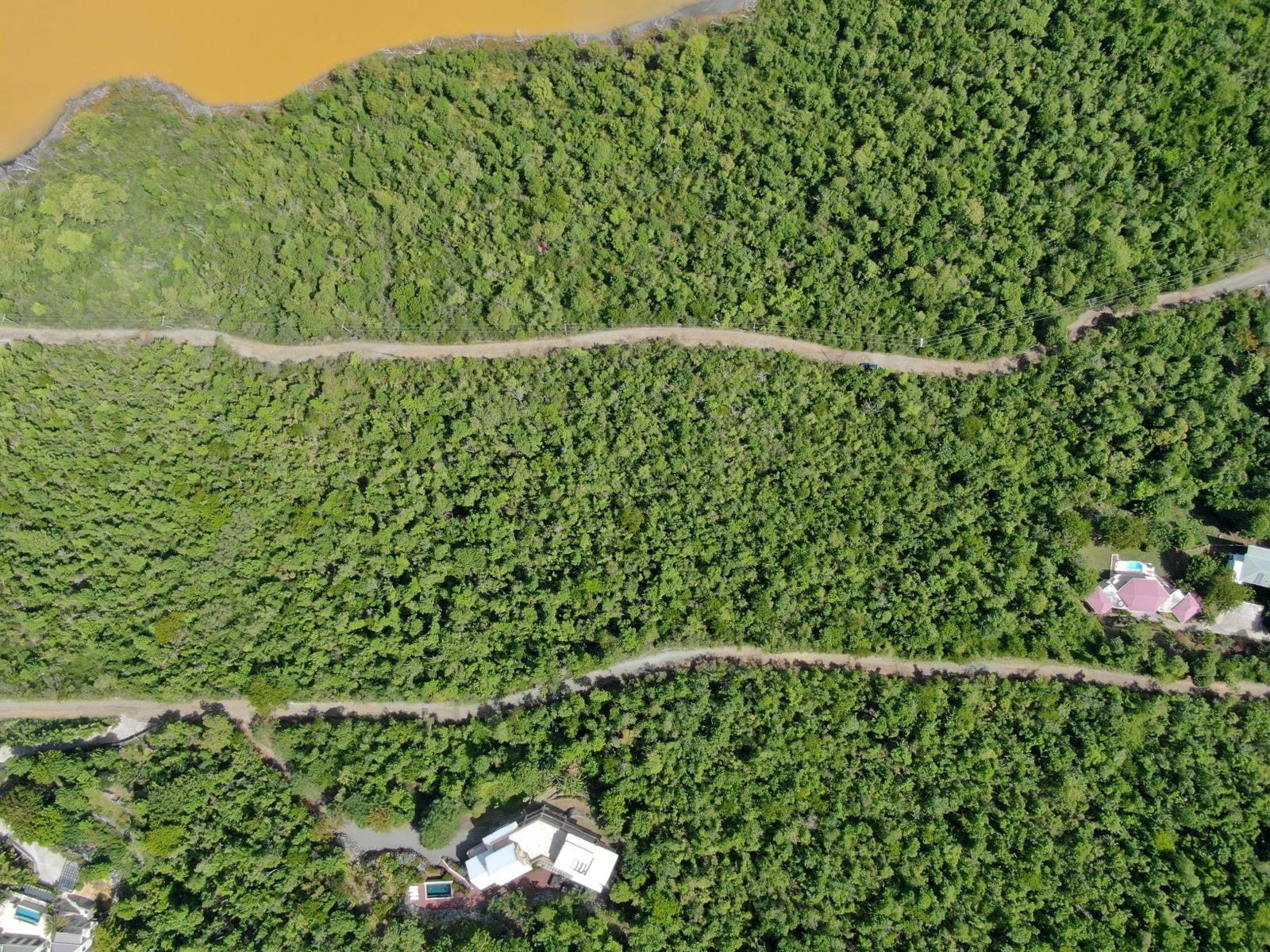 Belmont (339) 0.619 Acre — photo 2