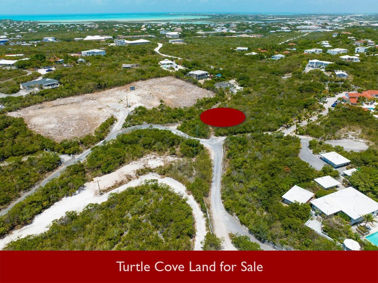 Turtle Cove lots for sale — photo 1