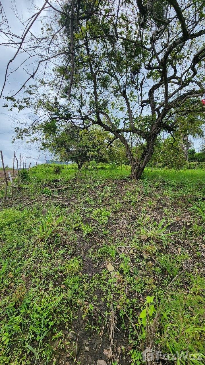 Live Between the Sea and the Mountains in Puerto Plata Land Plot — photo 3