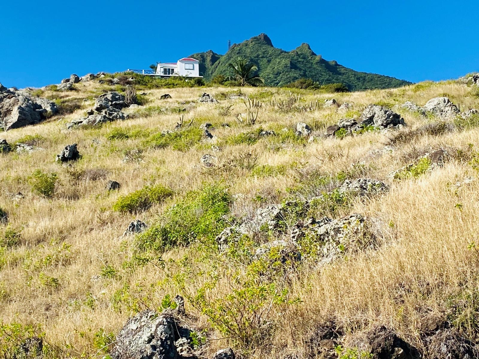 Treasured Horseshoe Property - Exceptional Open Views of the Ocean, Runway & Nearby Islands — photo 5