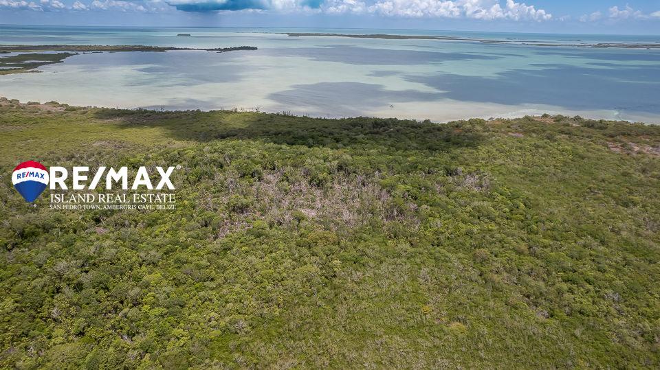 Ambergris Caye West Coast Beachfront Lots Near Secret Beach — photo 5