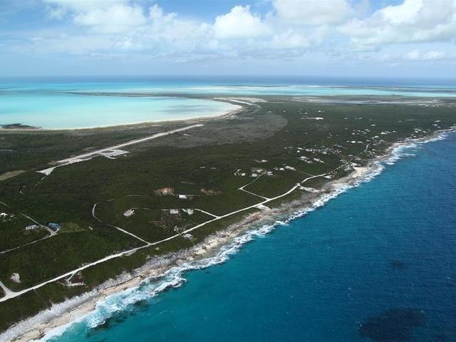 LOT# 231 STELLA MARIS — photo 1