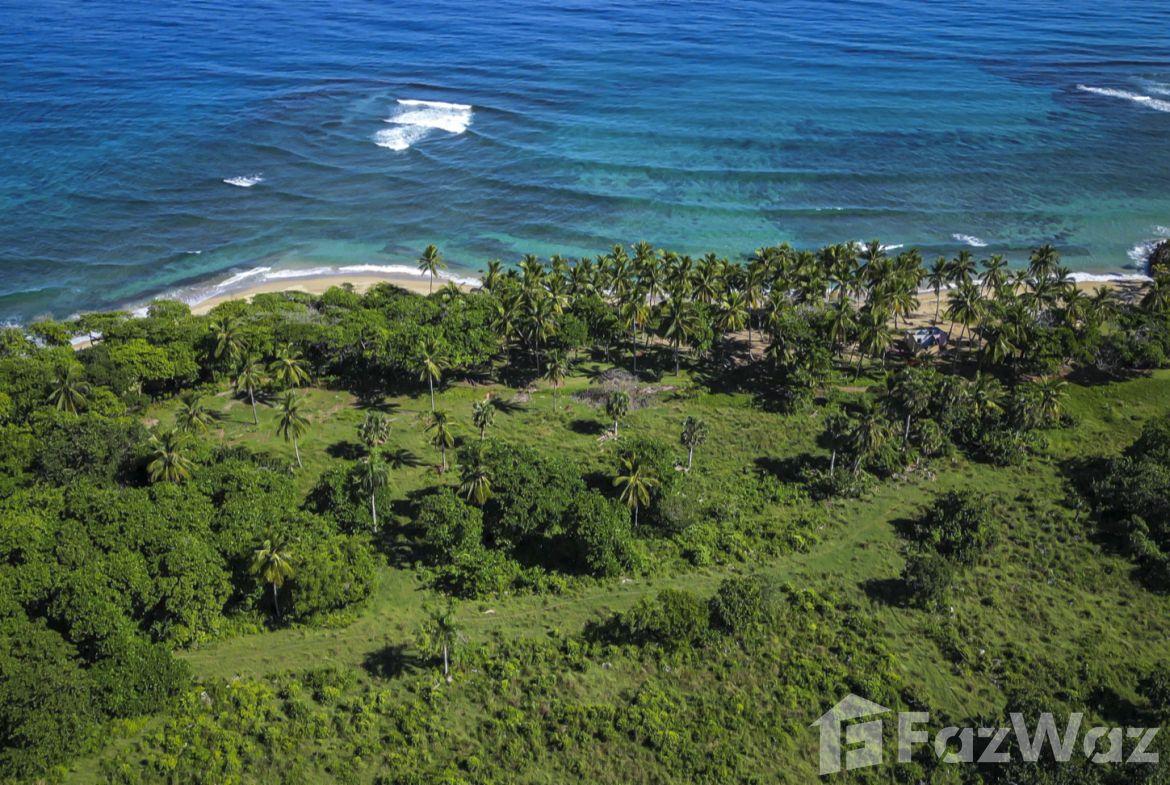 123 Acres of Prime Oceanfront Development Land CABARETE — photo 3