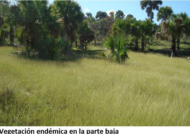Island For Sale Exclusive Investment Gem In Puerto Plata Dr — photo 4